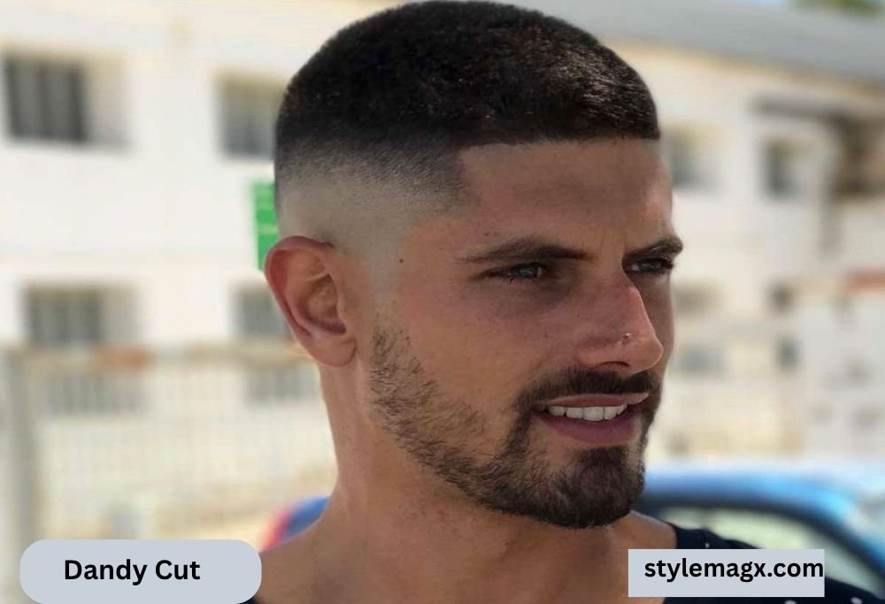 Dandy Cut