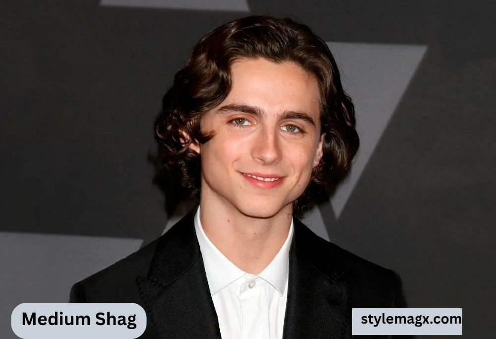 Shaggy Haircuts for Men: 30 Trendy Styles & Expert Tips 6 Medium Shag