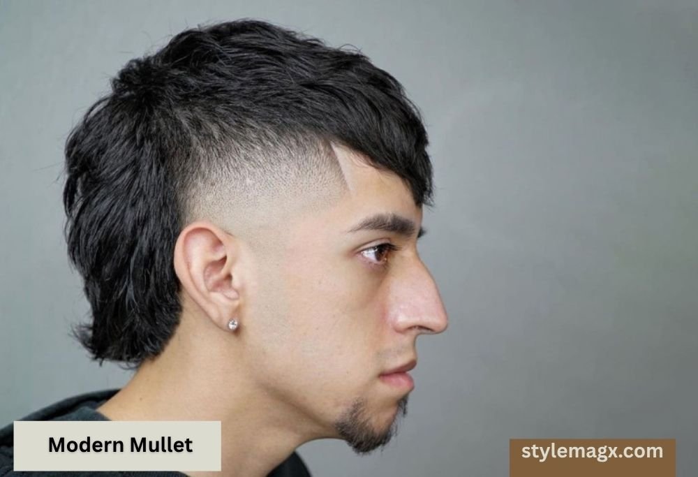 27+ Best Thick Straight Hair Haircuts for Men to Try in 2026 29 Modern Mullet